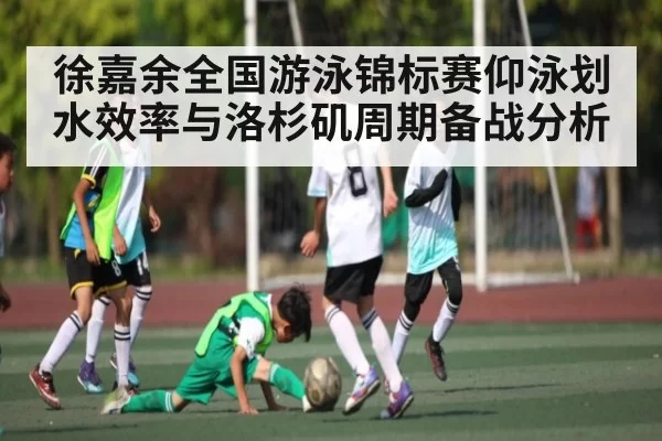 徐嘉余全国游泳锦标赛仰泳划水效率与洛杉矶周期备战分析